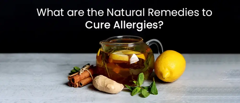 Natural Remedies for Dust and Pollen Allergies in the Middle East